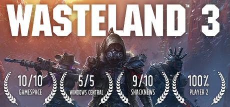 Wasteland 3