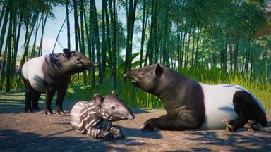 Planet Zoo: Southeast Asia Animal Pack PC Key Prices