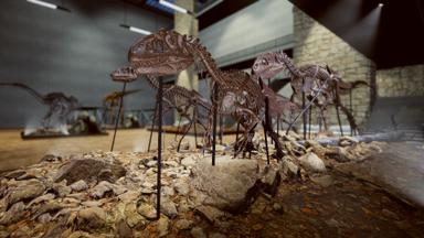 Dinosaur Fossil Hunter Price Comparison