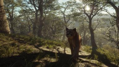 theHunter: Call of the Wild™ - Parque Fernando CD Key Prices for PC