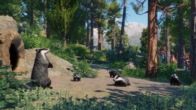 Planet Zoo: Europe Pack PC Key Prices