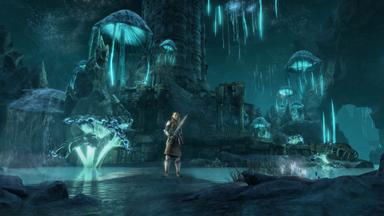 The Elder Scrolls Online - Greymoor CD Key Prices for PC