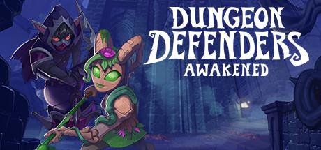 Dungeon Defenders: Awakened