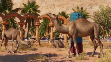 Planet Zoo: Arid Animal Pack CD Key Prices for PC