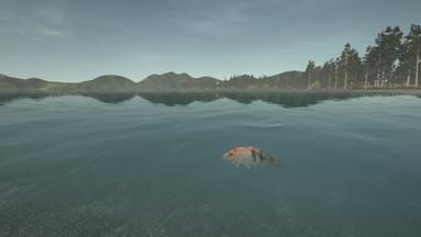 Ultimate Fishing Simulator - Taupo Lake DLC CD Key Prices for PC