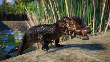 Planet Zoo: Aquatic Pack CD Key Prices for PC