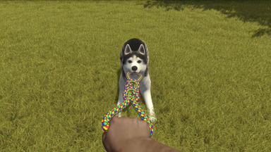 House Flipper - Pets DLC CD Key Prices for PC
