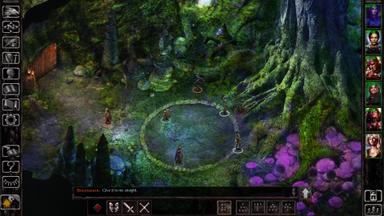 Baldur's Gate: Siege of Dragonspear CD Key Prices for PC