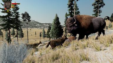 WolfQuest: Anniversary Edition CD Key Prices for PC