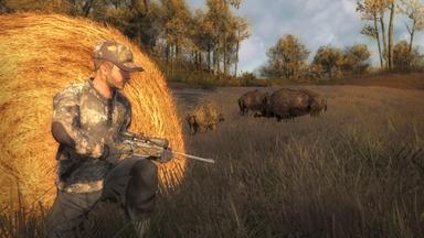 theHunter Classic CD Key Prices for PC