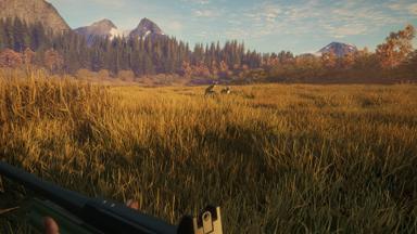 theHunter: Call of the Wild™ - Hunter Power Pack PC Key Prices