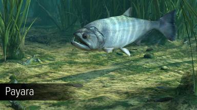 Ultimate Fishing Simulator - Amazon River DLC Price Comparison