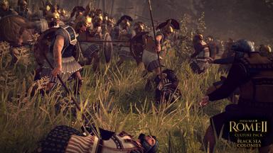 Total War: ROME II -  Black Sea Colonies Culture Pack Price Comparison