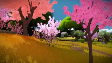 The Witness CD Key Prices for PC