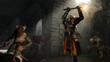 Warhammer: Vermintide 2 - Warrior Priest Career Price Comparison