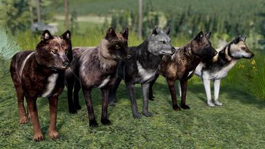 WolfQuest Anniversary - Building Character Pack PC Key Prices