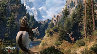 The Witcher® 3: Wild Hunt PC Key Prices
