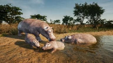 Animalia New African Skins CD Key Prices for PC