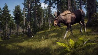 Way of the Hunter CD Key Prices for PC