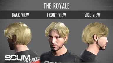SCUM Male Hair pack PC Key Prices