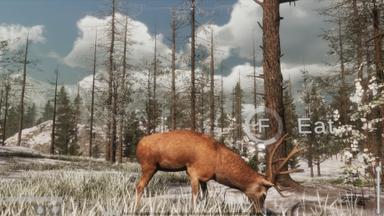 The WILDS CD Key Prices for PC