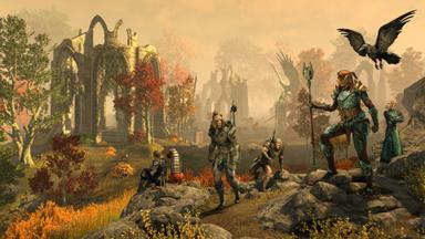The Elder Scrolls Online: Gold Road CD Key Prices for PC