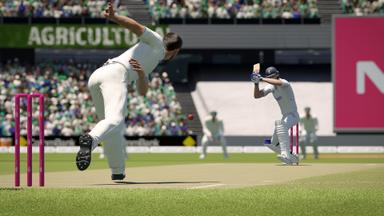 Cricket 24 CD Key Prices for PC