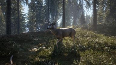 theHunter: Call of the Wild™ PC Key Prices