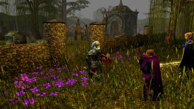 Neverwinter Nights: Darkness Over Daggerford CD Key Prices for PC