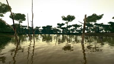 Ultimate Fishing Simulator - Amazon River DLC PC Key Prices