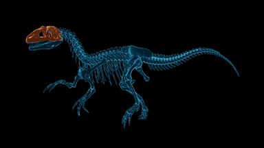 Dinosaur Fossil Hunter: Prologue Price Comparison